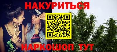 крисы Кинель