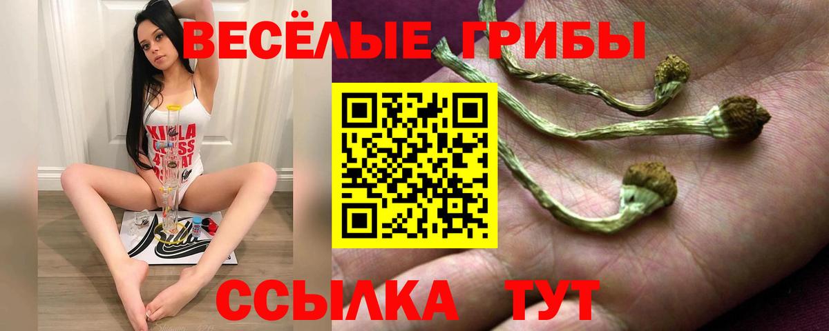 Галлюциногенные грибы Cubensis  Псилоцибиновые грибы Psilocybine cubensis  Вход с VPN  Кувандык 